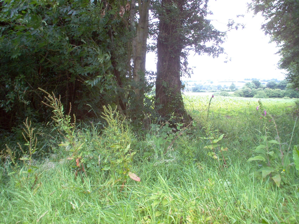20110000 LA PAVÉE Pont-Farcy 27.jpg - IM000287.JPG